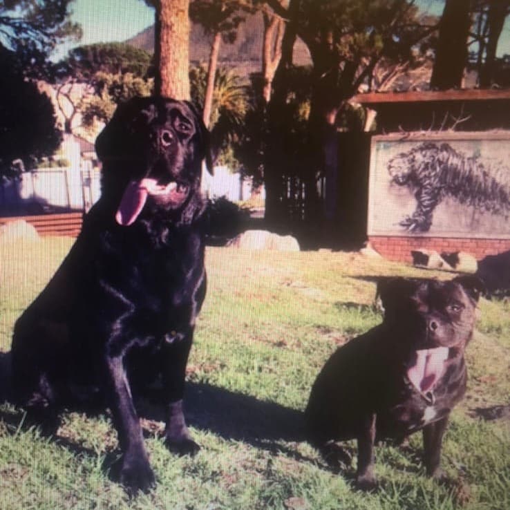 Leo & Bamba craftsmanship