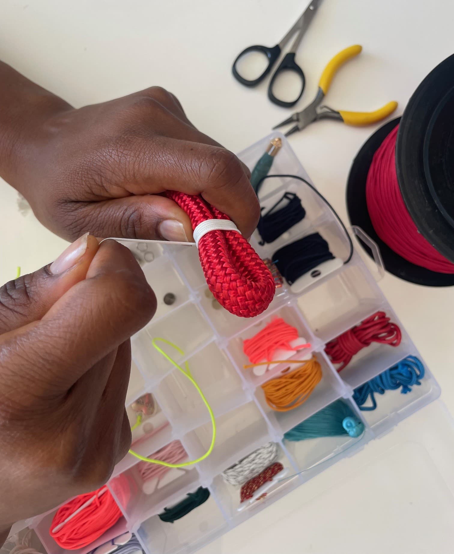 Leo & Bamba from Cape Town to the Netherlands