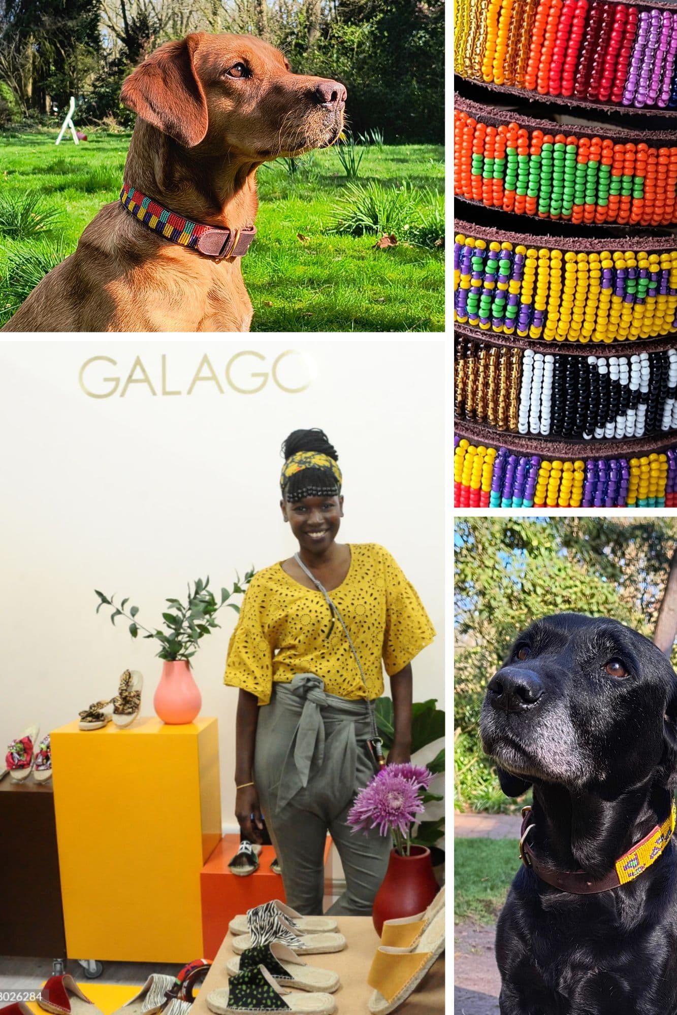 Galago beaded leather collar