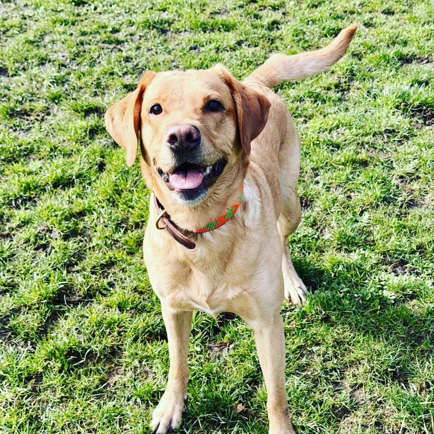 Greenpoint Glow lifestyle