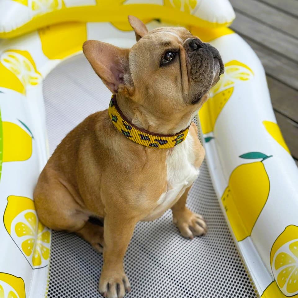 Lekker Leopard lifestyle